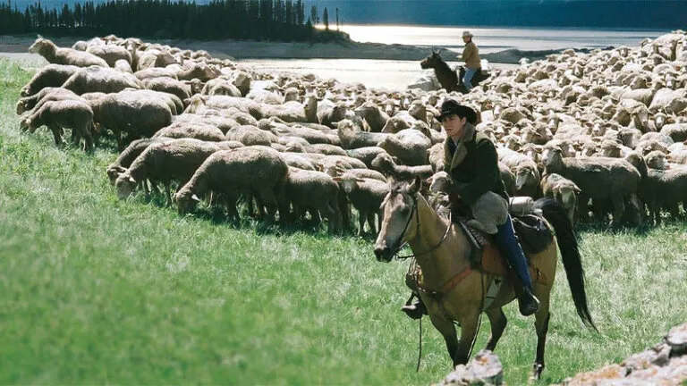 รีวิว Brokeback Mountain